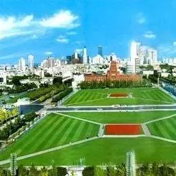 《畅快翱翔！精选热门飞行射击游戏大盘点》