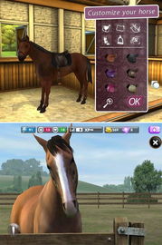 热辣推荐！马匹游戏盘点：十大最受欢迎马战佳作