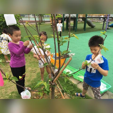 情境游戏盘点：热门下载量高的精选推荐！