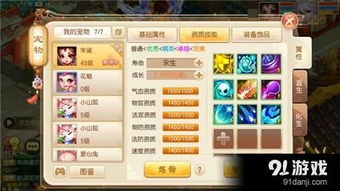 梦幻新诛仙纯法输出宠物最佳加点攻略揭秘