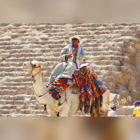 《光夜小熊星座获取攻略：独家秘籍速查》