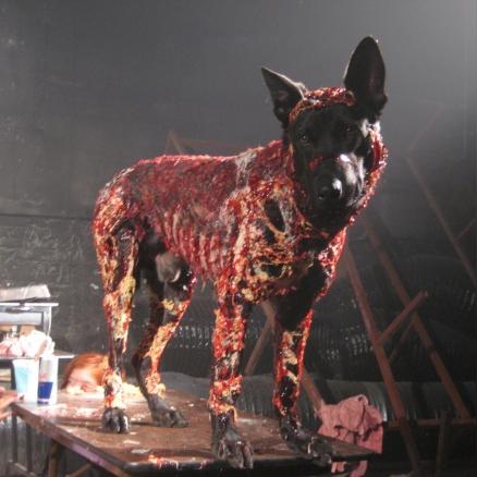 丧尸游戏盘点：十大热门必玩丧尸游戏推荐