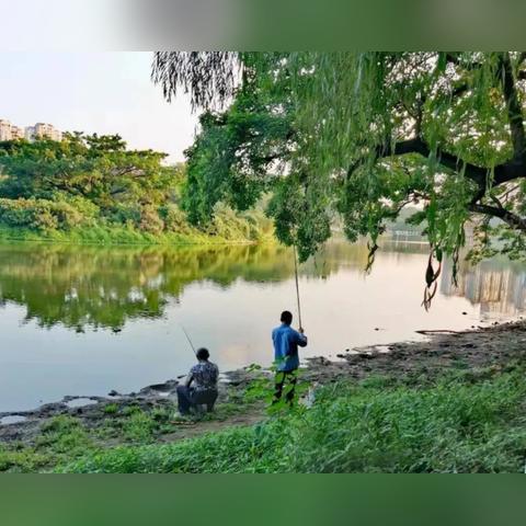 仙剑奇侠传钓鱼秘籍大揭秘！高效捕鱼攻略全收录