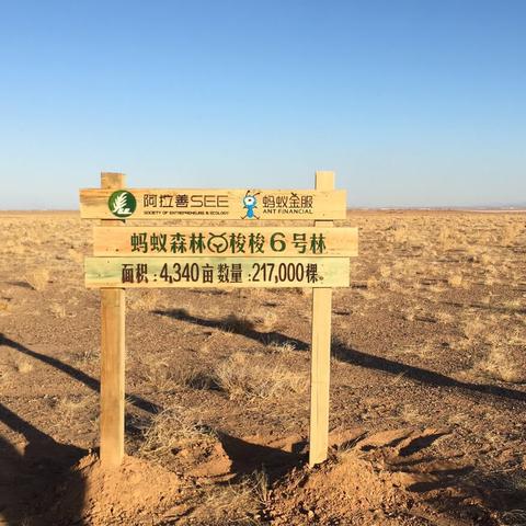 《十大热门步行模拟游戏盘点：不容错过的经典之作》