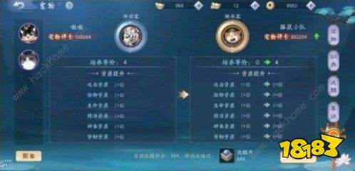 江湖玉仙姑任务攻略：高效通关秘籍大揭秘