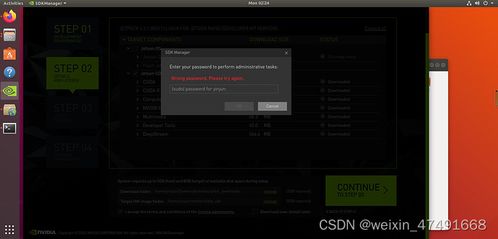 《猫灵相册高效升级法：揭秘快速突破技巧》