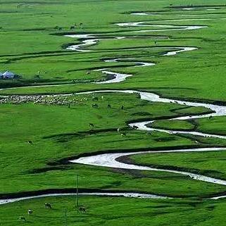 《光遇百鸟城快速导航：独家进入攻略揭秘》