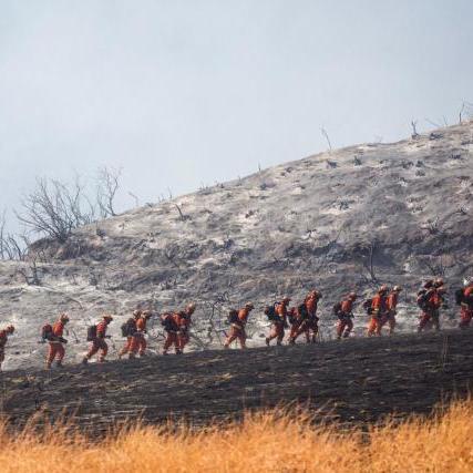 摩尔庄园手游小镇管理员上限揭秘：解锁更多管理高手！