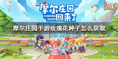 摩尔庄园手游：轻松解锁黄玫瑰花门攻略大揭秘