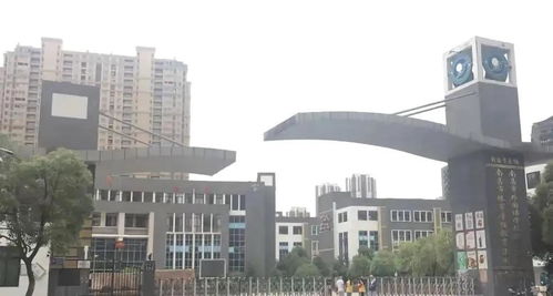 《十大模组化游戏盘点：不可错过的热门选择》