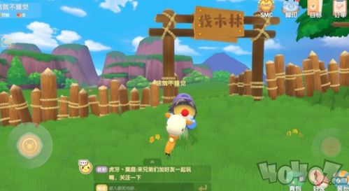 摩尔庄园手游探秘：满天星花藏匿之地攻略速查