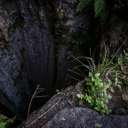 《惊悚瞬间！盘点十大好玩的突发惊吓游戏》