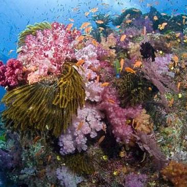 《钓鱼游戏盘点：十大热门必玩攻略推荐》