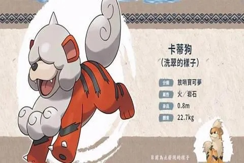 宝可梦卡蒂狗进化全攻略：快速升级技巧揭秘