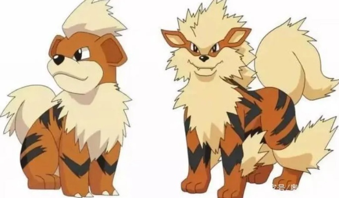 宝可梦卡蒂狗进化全攻略：快速升级技巧揭秘