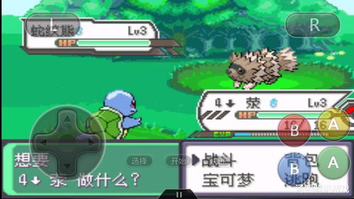 宝可梦小火龙技能搭配攻略：实战精选技巧揭秘