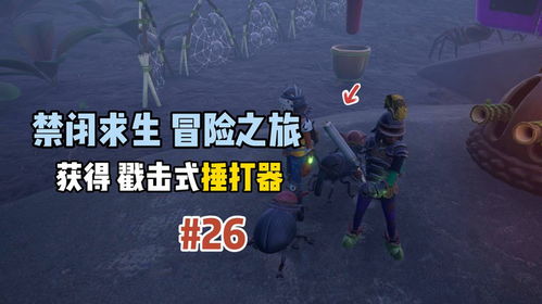 《北地蝎攻略：禁闭求生2高效打法揭秘》