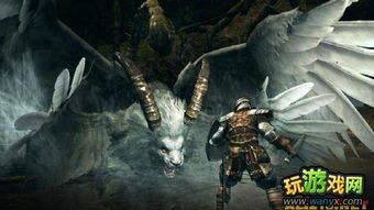 《暗黑游戏排行：盘点最受玩家喜爱的黑暗系佳作》
《黑暗游戏人气榜：揭秘玩家心中的热门暗黑游戏》
《暗黑游戏热度飙升：盘点玩家狂热追捧的黑暗之作》
《黑暗游戏迷必看：盘点人气爆棚的暗黑游戏排行榜》
《暗黑游戏盘点：揭秘哪些游戏让玩家沉迷其中》