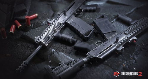 《枪械改装巅峰对决！热门游戏排行，速来体验》