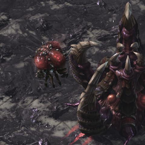 《热门推荐！人气爆棚的劫掠游戏盘点》