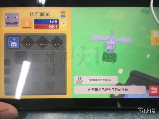 宝可梦大探险：化石翼龙进化全攻略，速查升级技巧