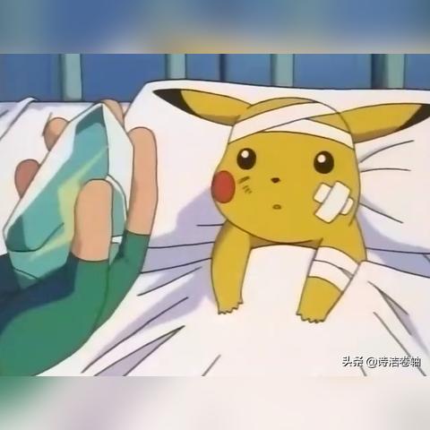 宝可梦大探险技能石搭配秘籍：高效攻略全解析