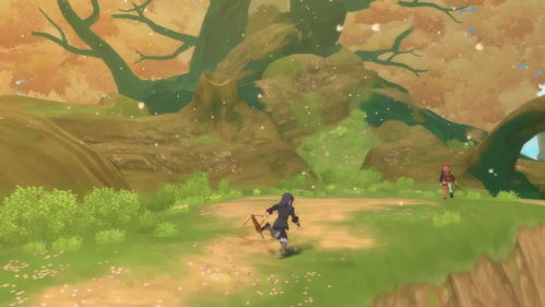 浮石之旅：揭秘大风车最后的倔强传奇