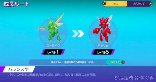 宝可梦飞天螳螂技能搭配攻略：高效战力提升秘籍