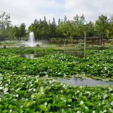 《重建家园湿地攻略：揭秘湿地开启神秘方法》