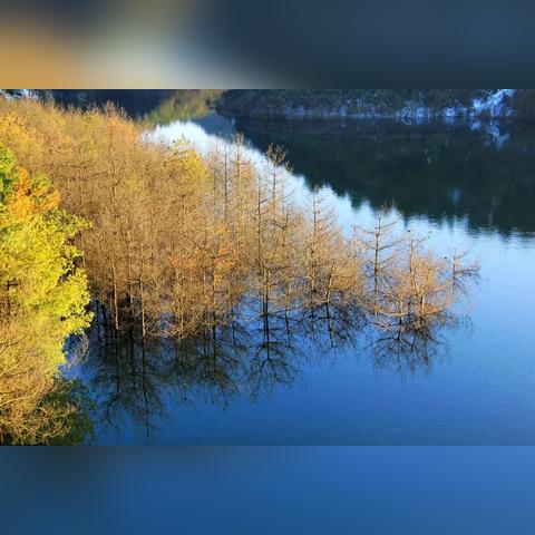 《重建家园湿地攻略：揭秘湿地开启神秘方法》