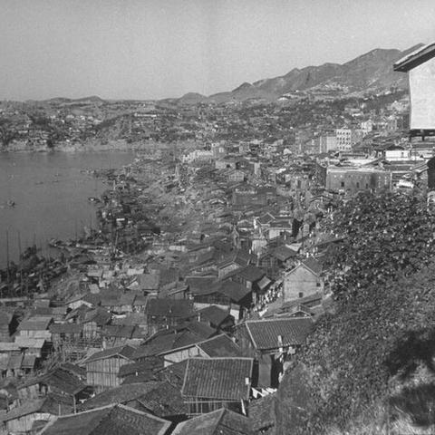 《重建家园塑料块速获攻略：高效获取方法揭秘》