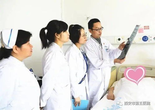 《重建家园医生攻略：高效医生玩法揭秘》