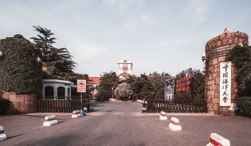 《十大文字游戏盘点：不容错过的沉浸体验》