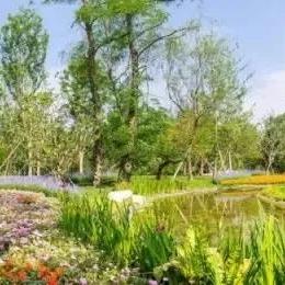 《热门运动游戏盘点：人气爆款一网打尽》