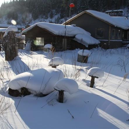 《盘点十大热门雪游戏：冬季必玩清单》