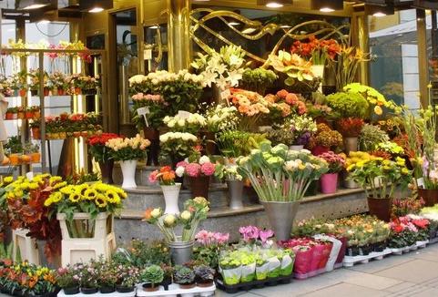 《伯利恒之星花店秘籍：轻松获取鲜花攻略》