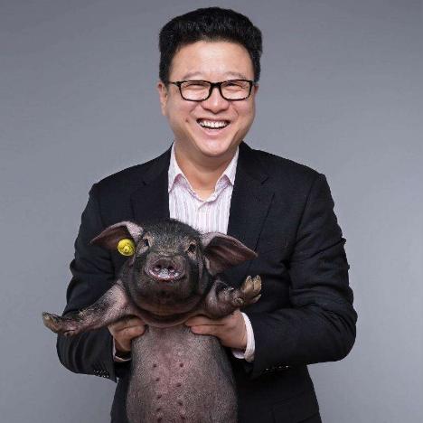 《十大热门即时暂停游戏盘点：停歇间也不停歇的乐趣》