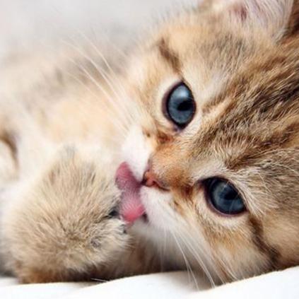 《死亡搁浅2洗澡攻略：高效清洁技巧揭秘》