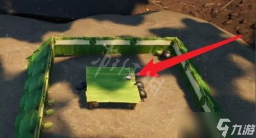 禁闭求生2露水收集器攻略：高效制作技巧揭秘