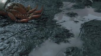 《死亡搁浅2》步荷位置揭秘：探索神秘步荷之地