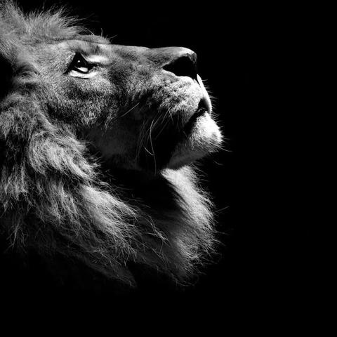 《暗黑游戏排行：盘点玩家心中的高人气黑暗大作》
《热门黑暗游戏大盘点：揭秘玩家最爱暗黑游戏》
《黑暗游戏人气榜：这些游戏让你欲罢不能》
《暗黑游戏热度飙升：盘点玩家追捧的黑暗佳作》
《黑暗游戏排行榜：揭秘哪些游戏让玩家沉迷不已》