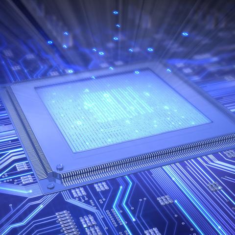 摩尔庄园西瓜获取攻略：农作物种植全解析