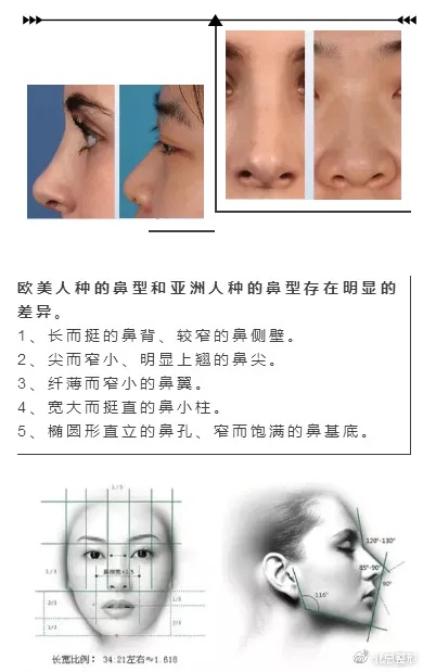 颜值揭秘：15基因塑造美，鼻子定义颜值巅峰！