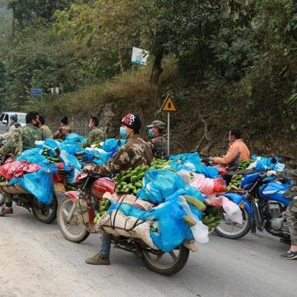 长假出行，堵车不止！揭秘“堵船堵骆驼堵香蕉”背后的新玩法