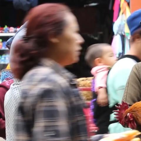 詹姆斯重大决定揭秘：网红转型全职视频博主，揭秘背后原因！