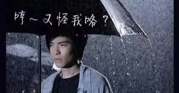 西安暴雨来袭，萧敬腾再唱《再待下去》，兵马俑防潮攻略必看
