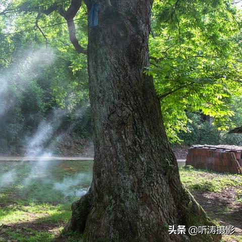 《如龙极3》全面升级！全新现代化场景，情感深度再突破