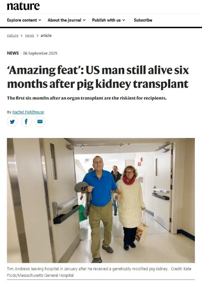 猪肾移植奇迹！西安患者突破200天生存极限，刷新亚洲纪录
