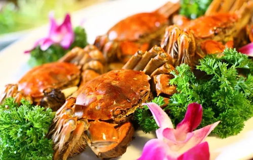 月入2万！热门职业挑蟹师缺口大，求职者速来抢位