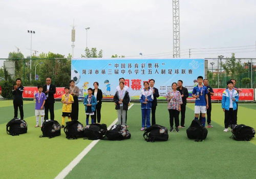 球员遭恶意犯规致高位截瘫，俱乐部紧急道歉，重塑体育道德新标杆